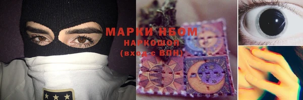 прущие грибы Магадан