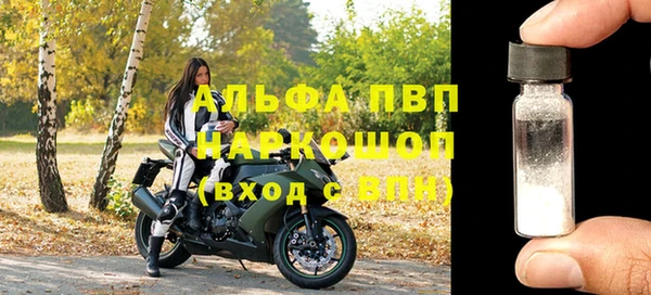 прущие грибы Майский