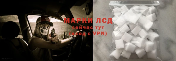 ECSTASY Новозыбков
