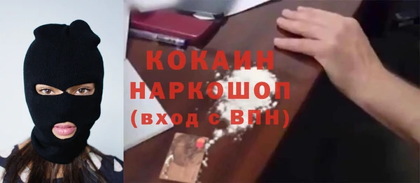 прущие грибы Магадан