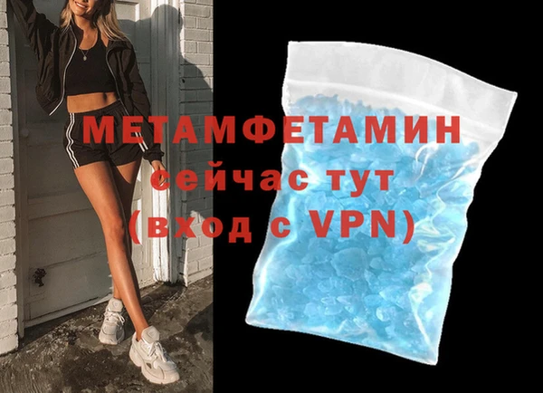 прущие грибы Магадан