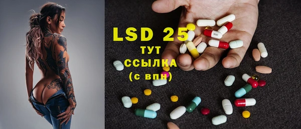прущие грибы Магадан