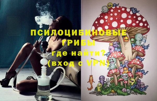 PSILOCYBIN Аша