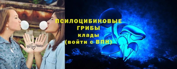 прущие грибы Майский